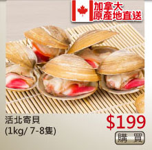 活北寄貝(1kg/ 7-8隻) $199